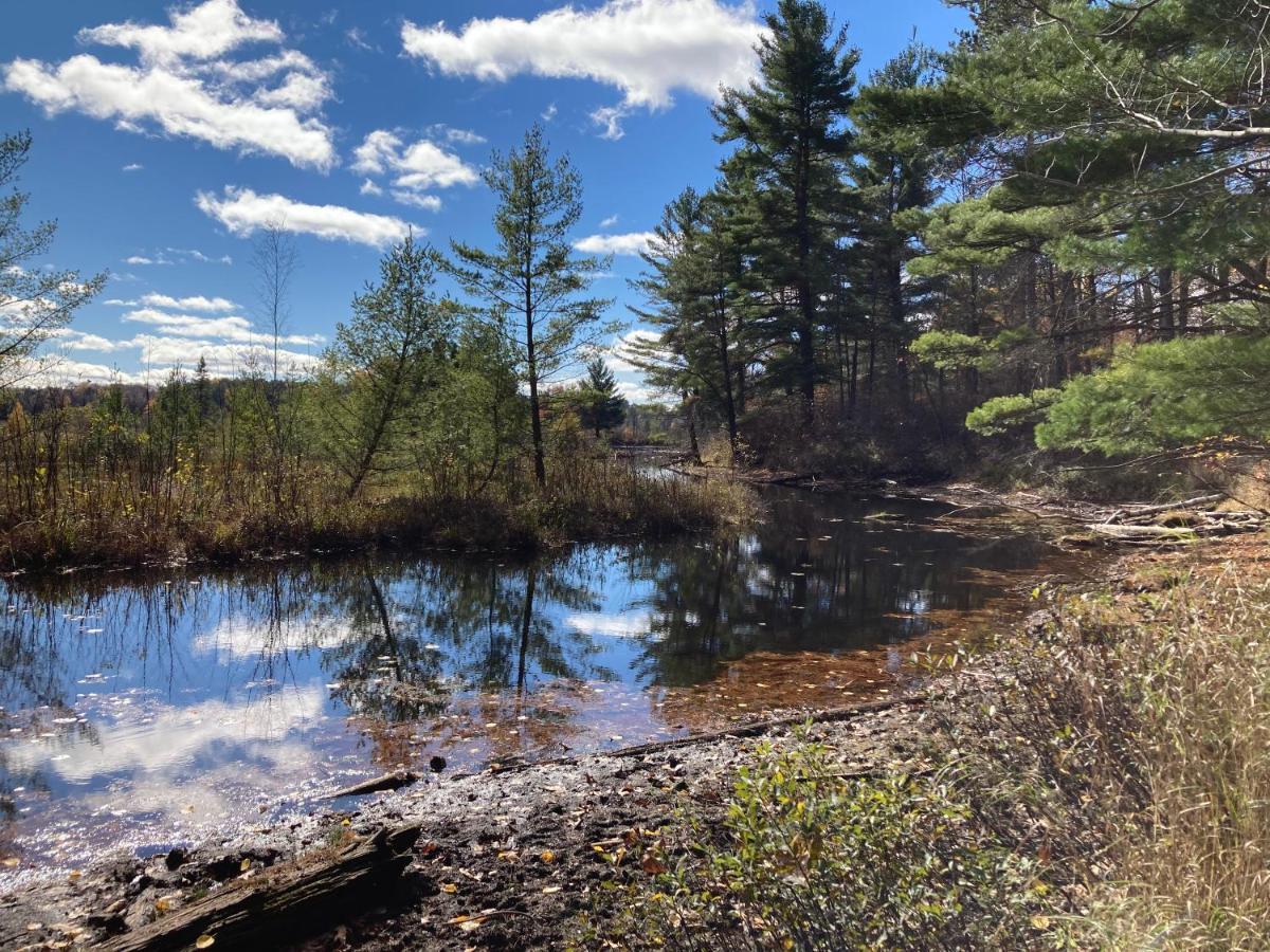 Musky Joe'S Twin Pines Resort New Post Exteriör bild